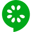 Cucumber