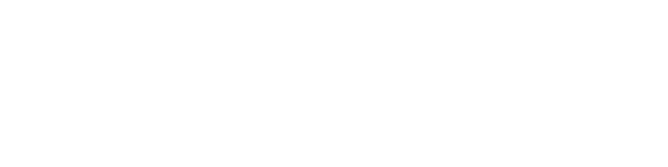 Fortress Investment Group logo
