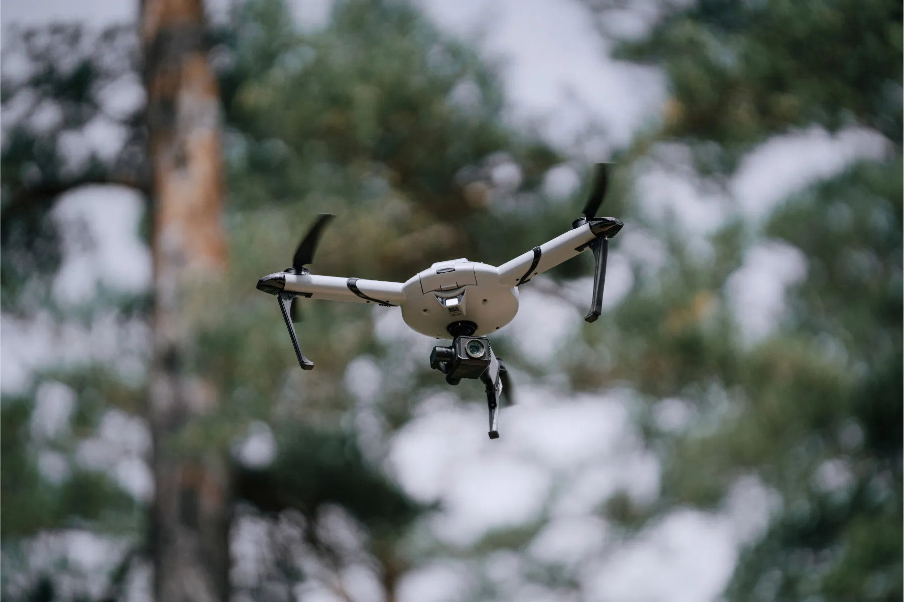Rapid search mission photo