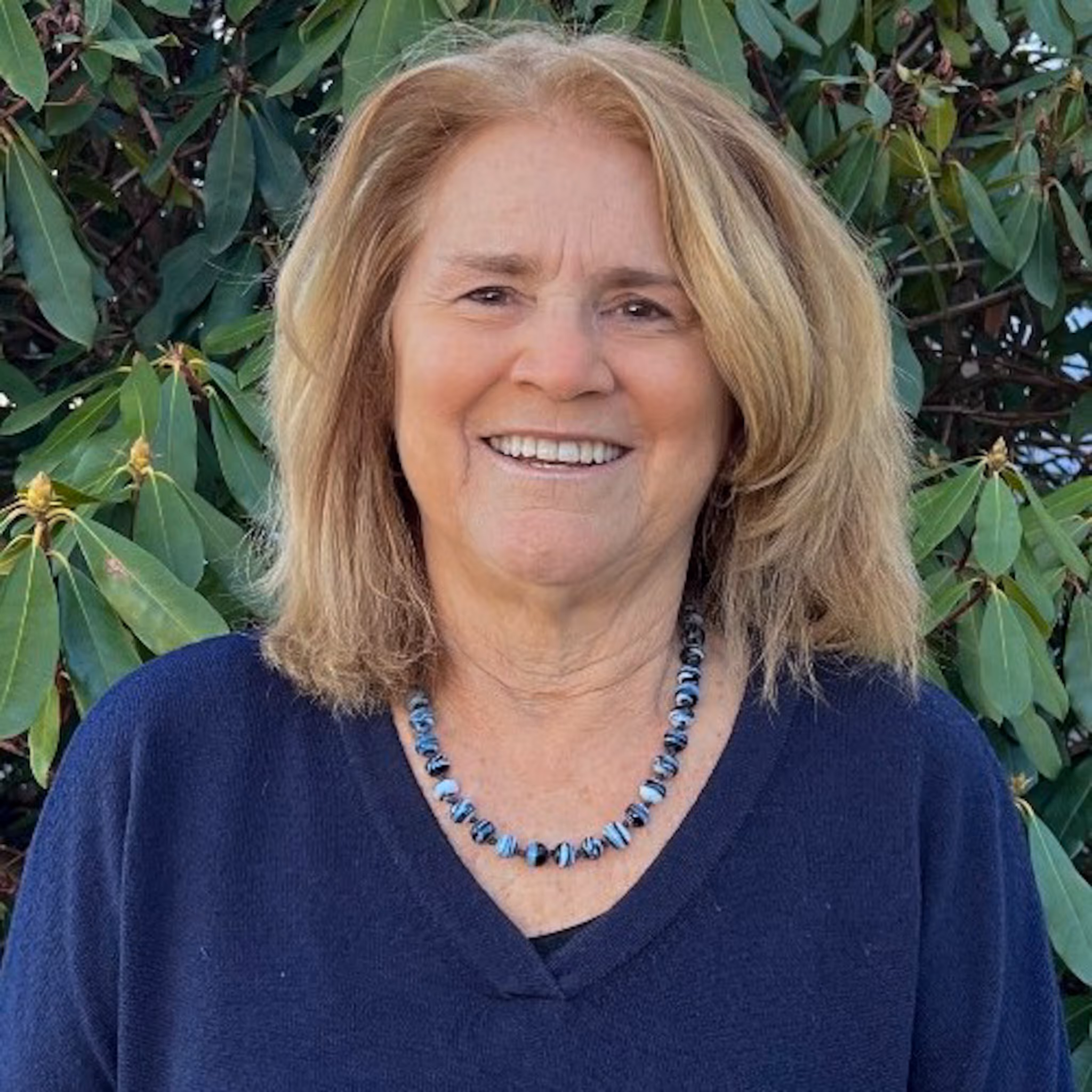 SURPRISE THE WORLD - A MISSIONAL SMALL GROUP