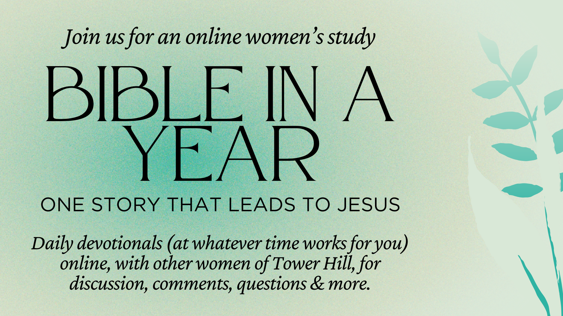 Online Women's Study : Bible in a Year