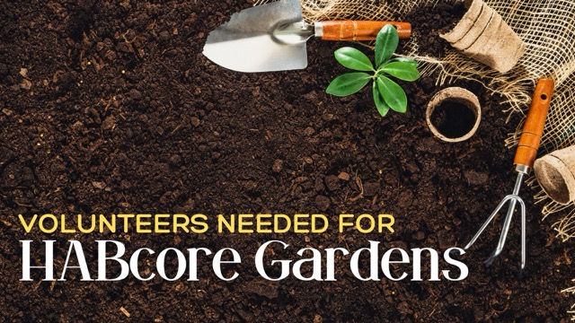 Volunteer to help the HABcore Gardens