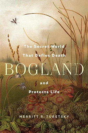 Bogland