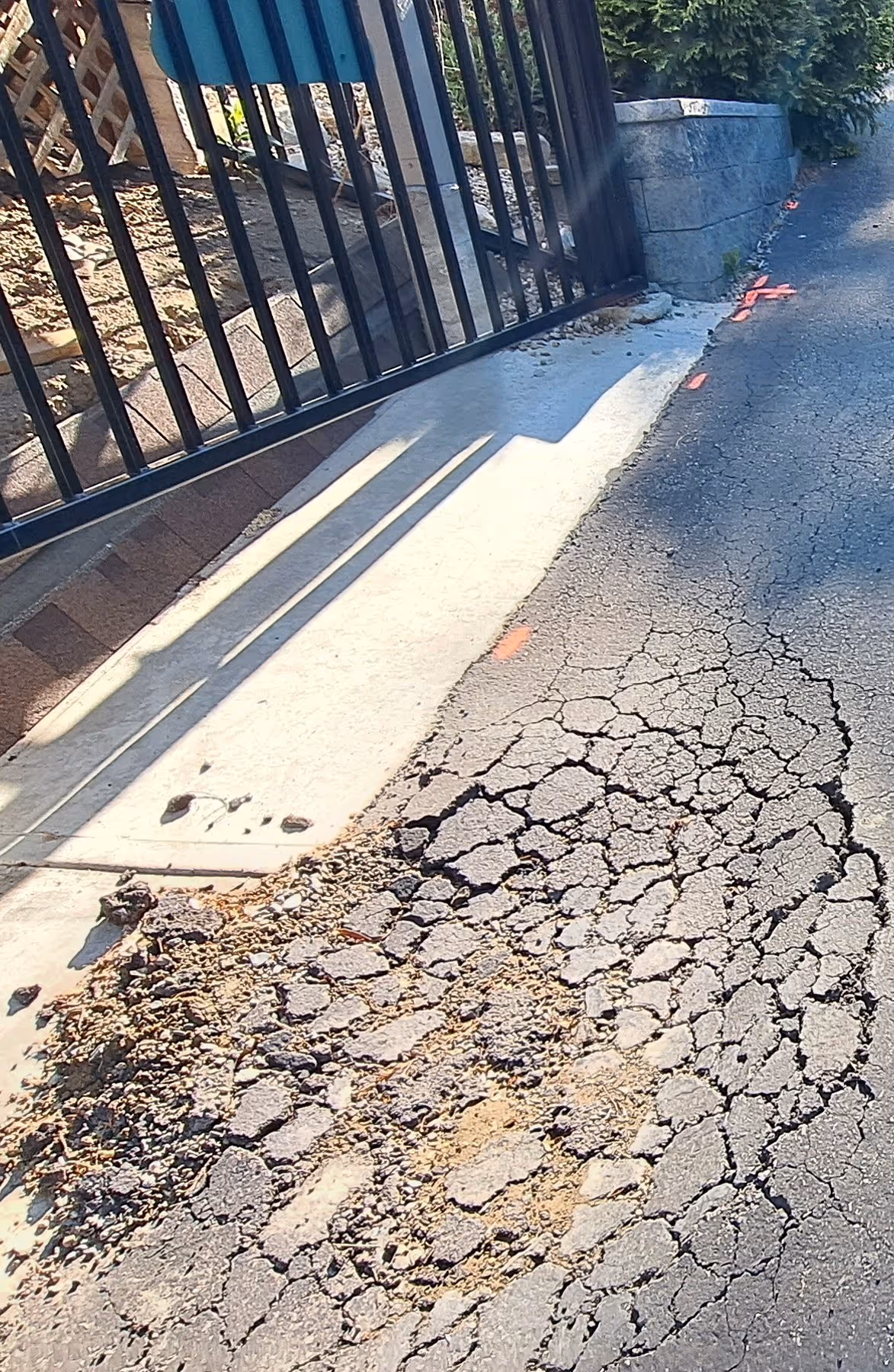 Cracked asphalt driveway edge with alligator cracking in Salmon Arm