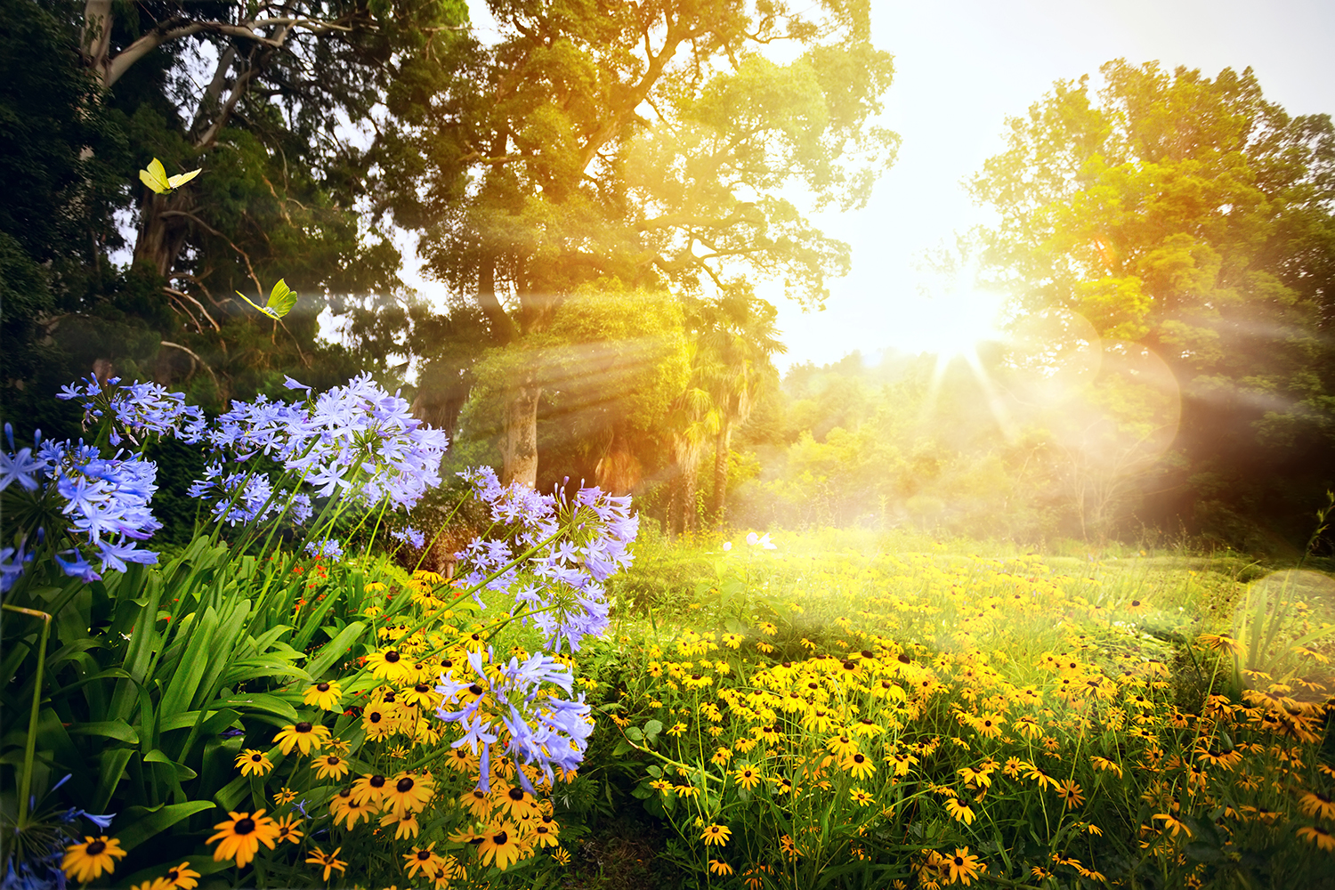 Flower Nectar Honey