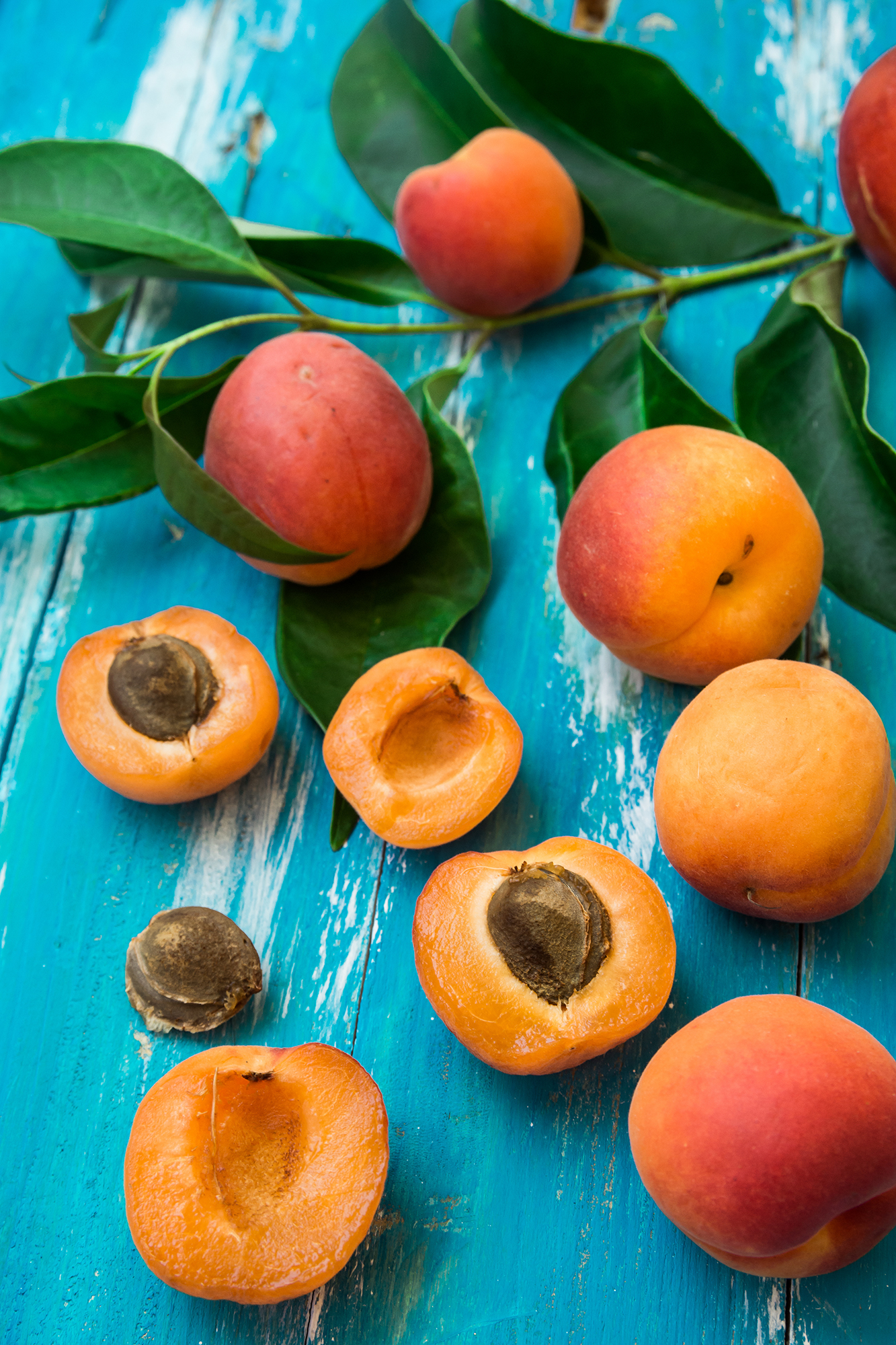 Fresh Apricot Pie