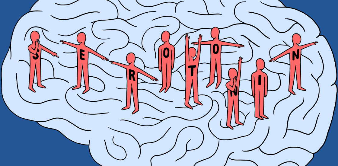 Serotonin's link to autism, explained | Spectrum | Autism Research News