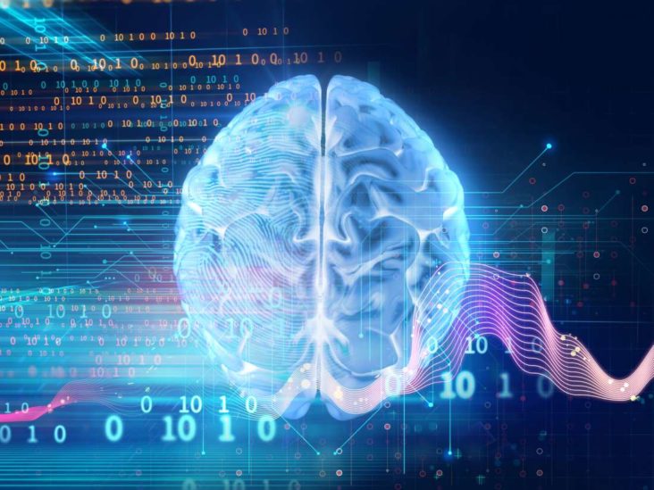 This is how your brain predicts future events