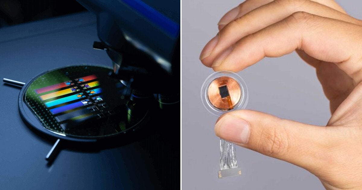 elon musk says neuralink brain chip will make language obsolete in 5-10 years. : r/Futurology