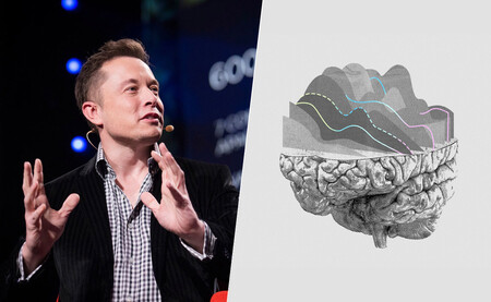 Elon Musk quiere implantar Neuralink en humanos en seis meses: es un objetivo bastante ambicioso
