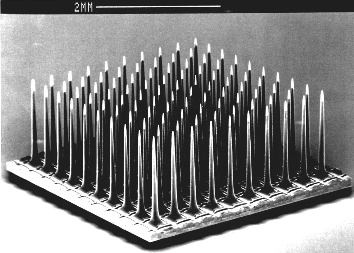 Utah array, a grid of needle electrodes, under a microscope with a 2 mm scale bar