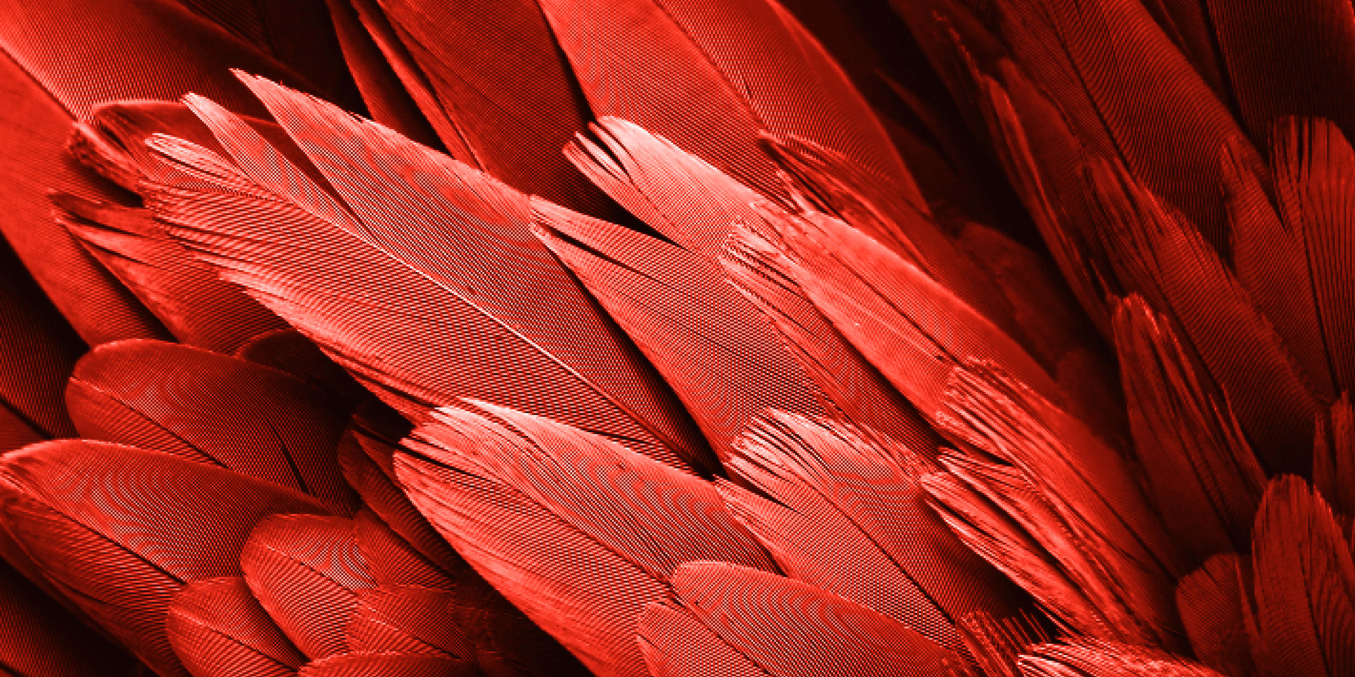 Kleuren