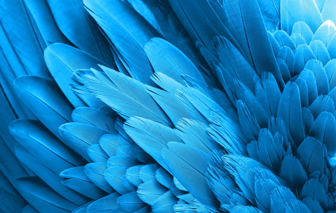 Kleuren
