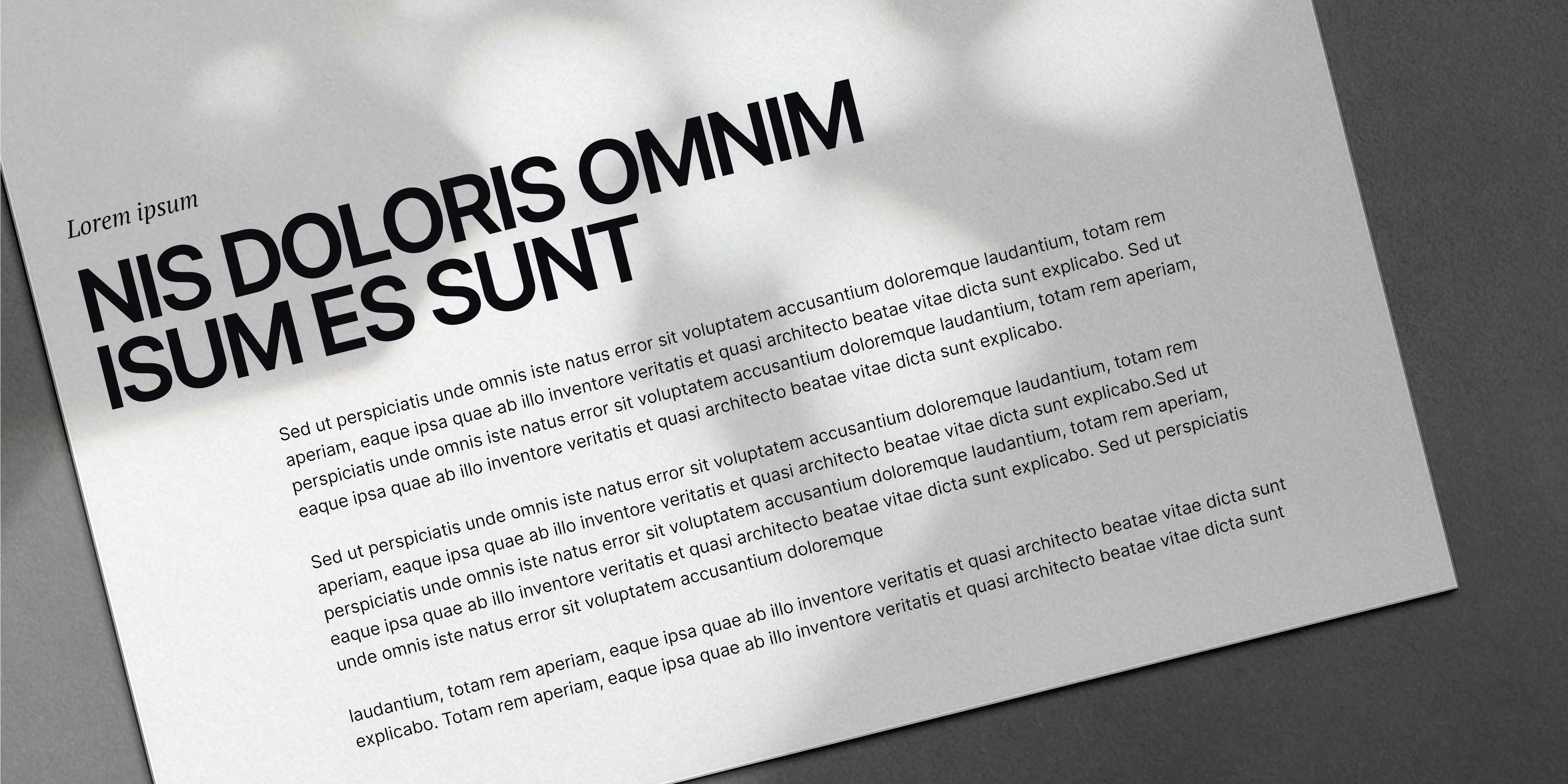 Typografie