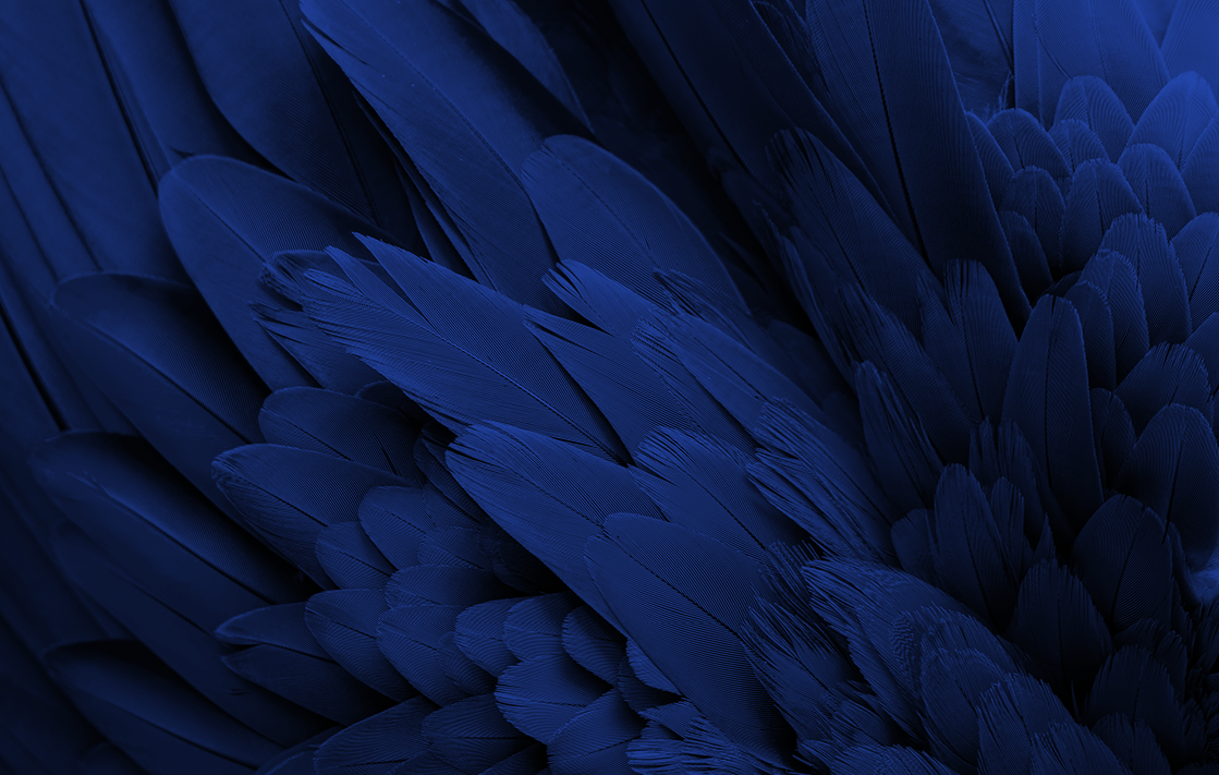 Kleuren 