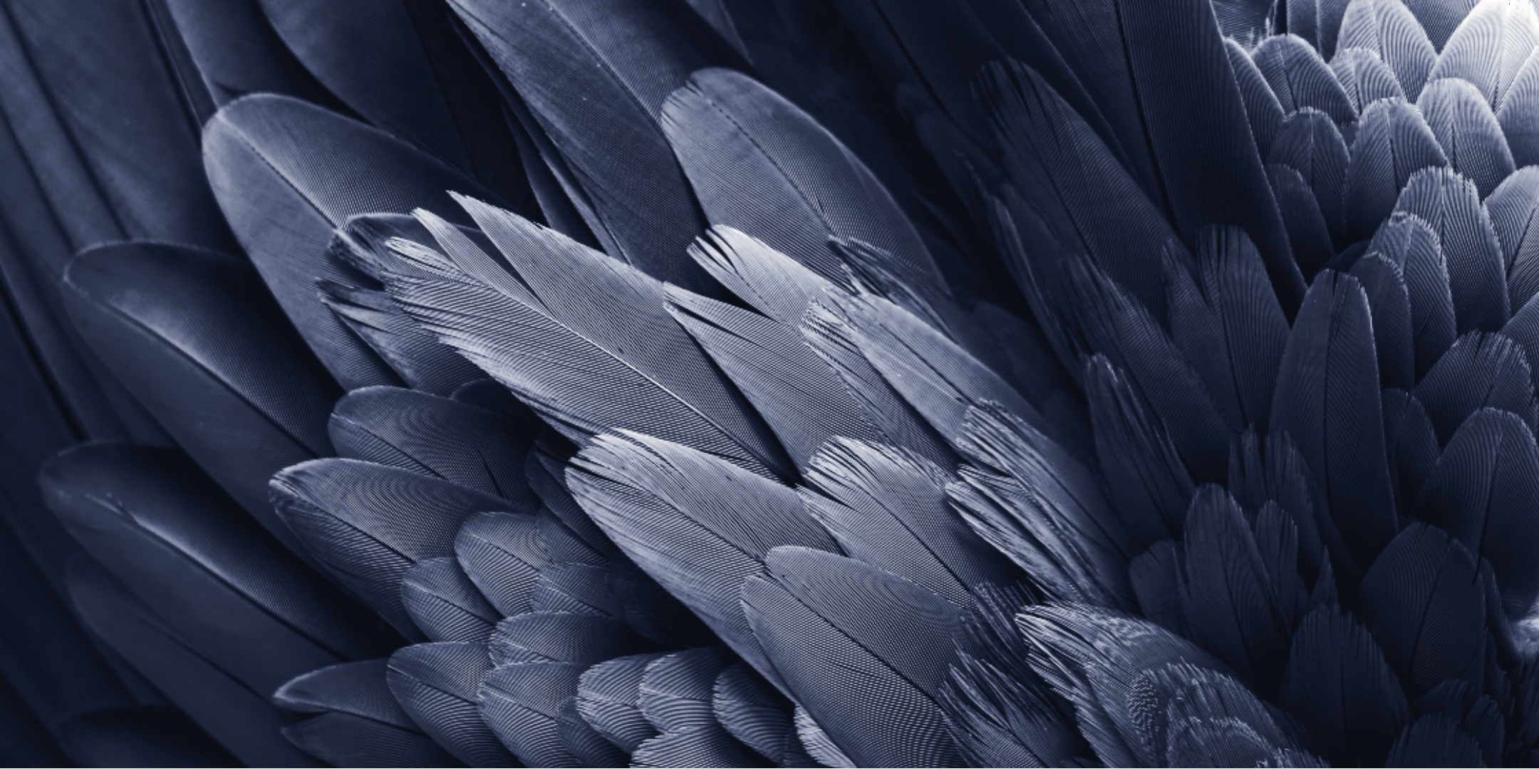 Kleuren
