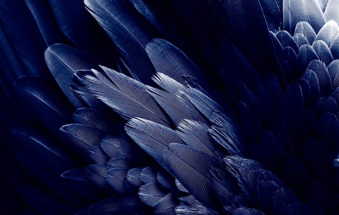 Kleur