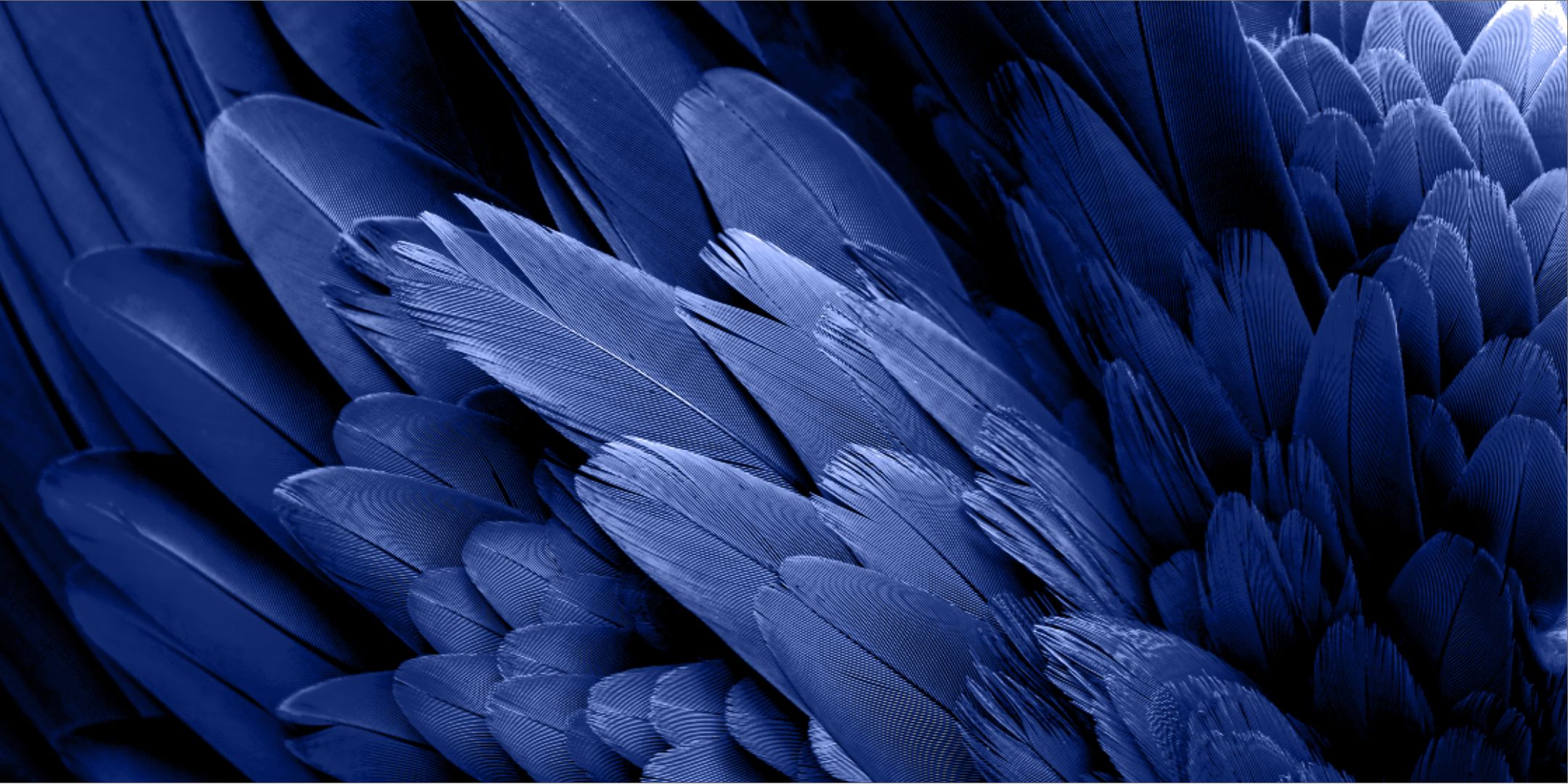 Kleuren