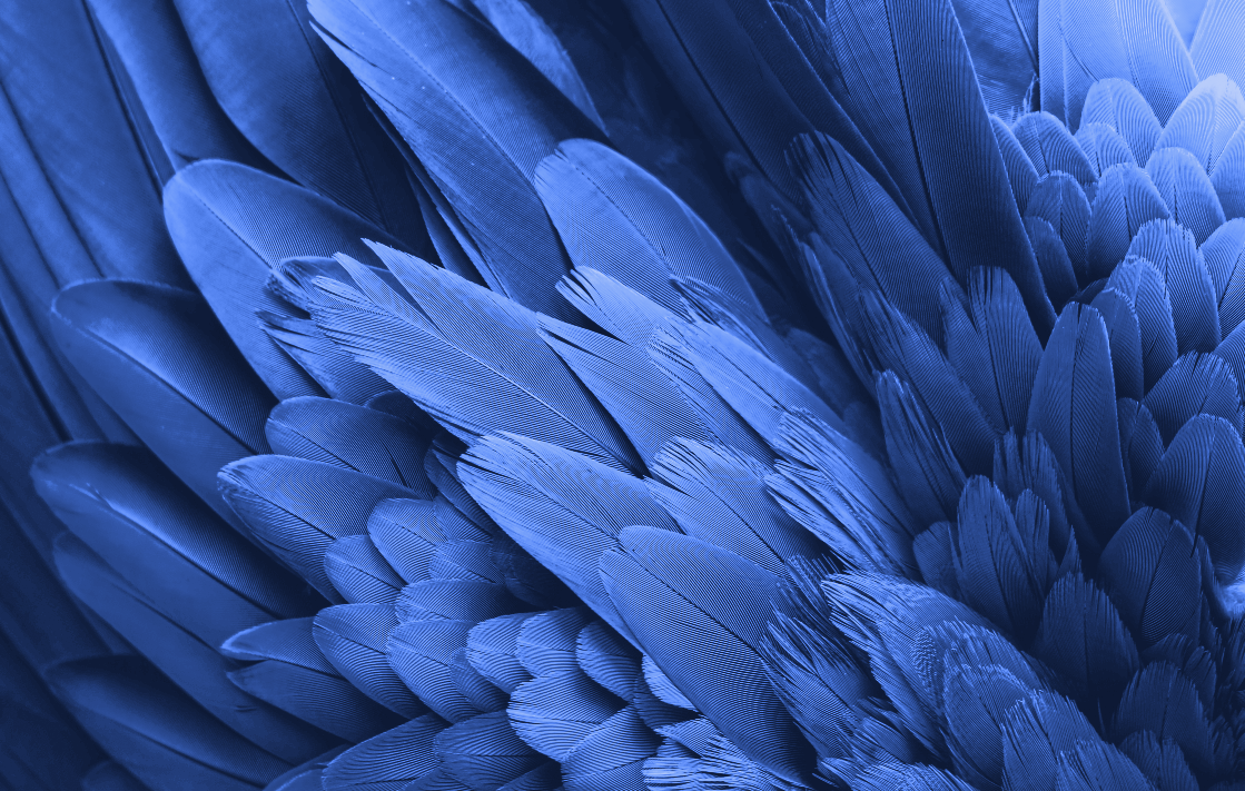 Colours