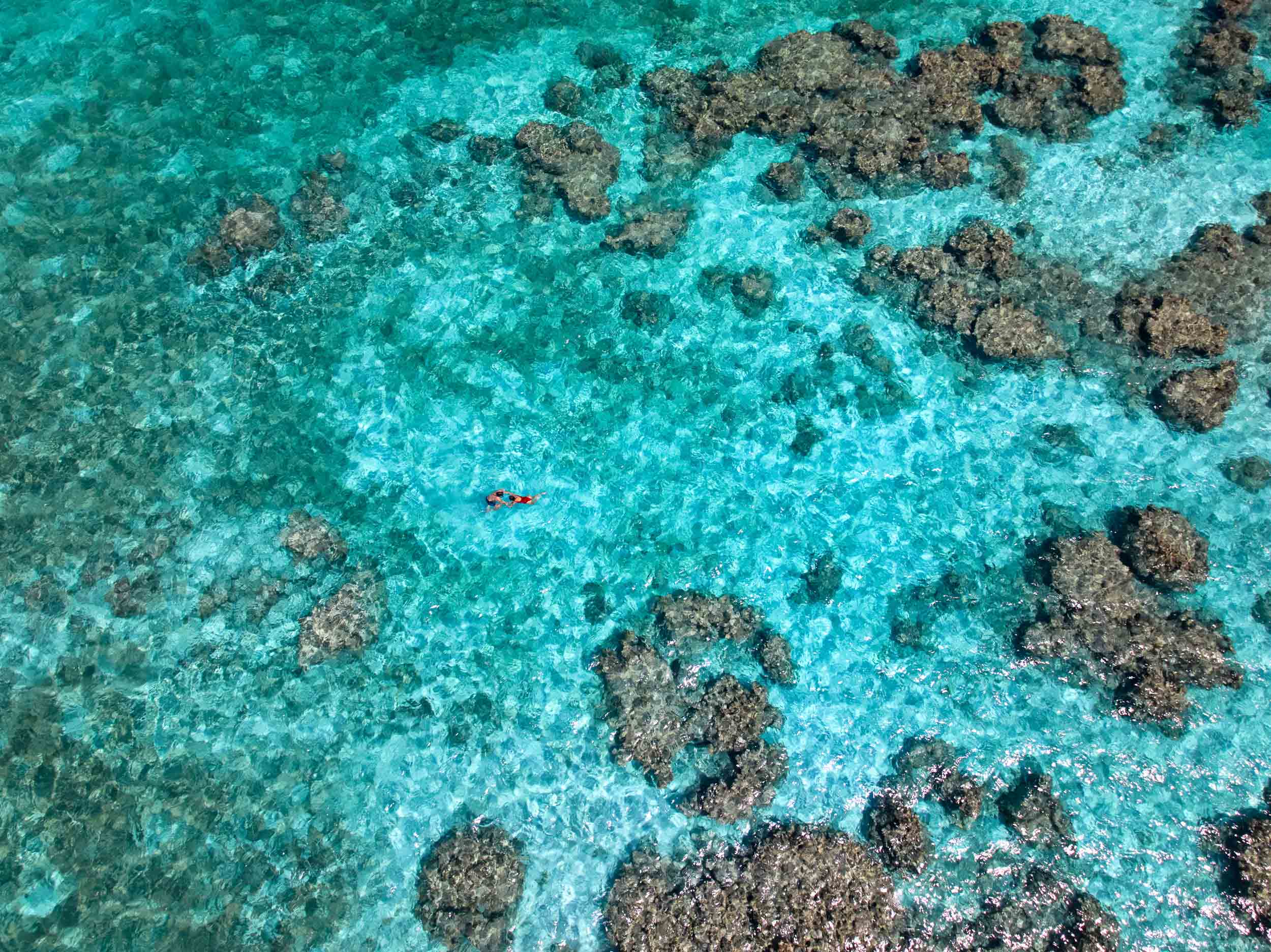 Arial view of swimmers surrounded by clear turquoise water and coral reef