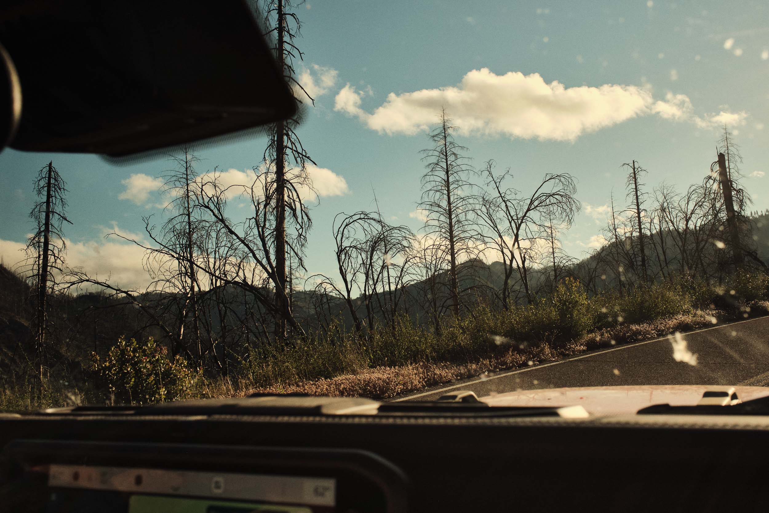 Fire-scarred trees and mountain road seen through the crew vehicle windscreen.