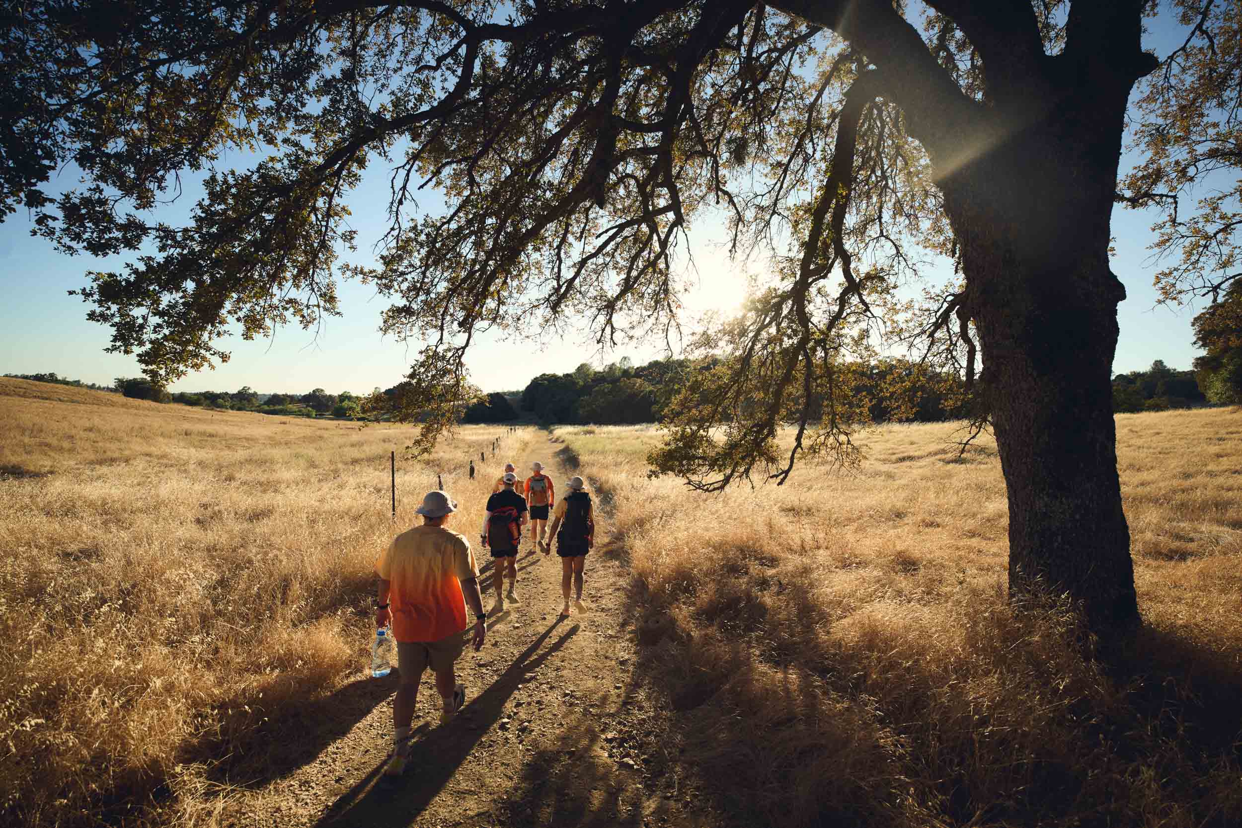 Adidas TERREX crew walk along a golden trail beneath a large oak tree.