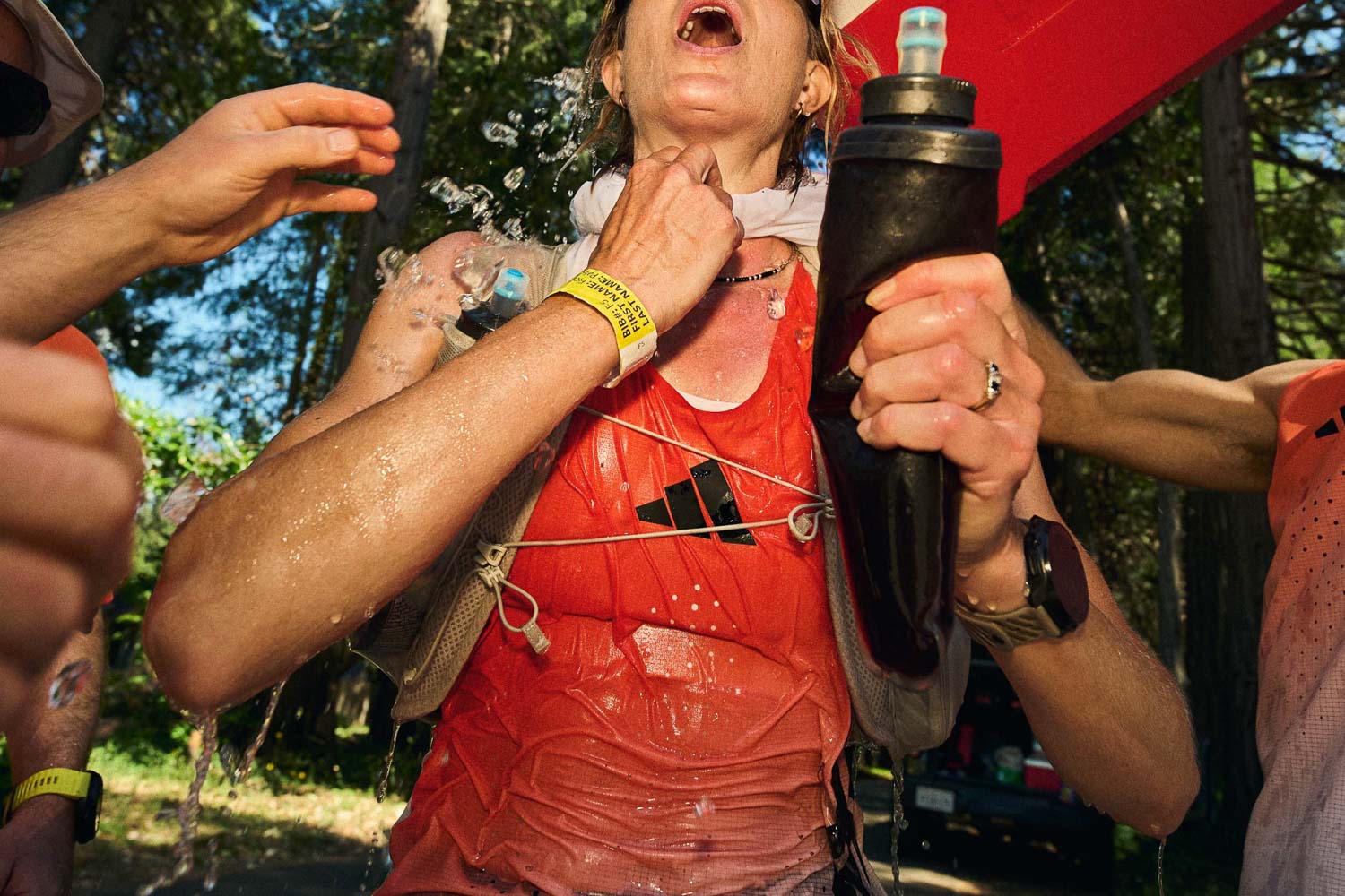 WSER 100
