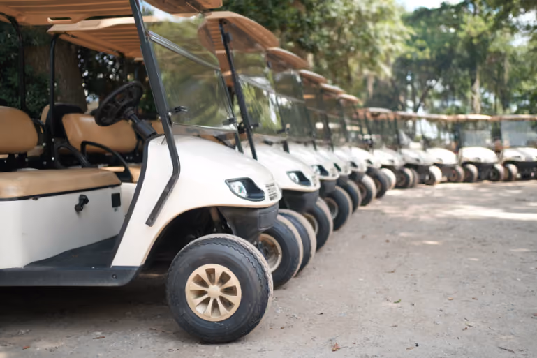 Golf cart rental fleet on Daufuskie Island