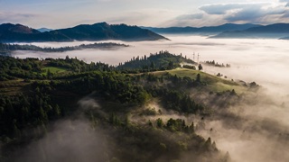 Nature channel — an aerial view of an autumn forest in morning fog