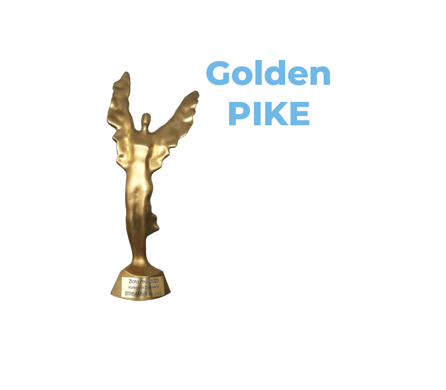 Golden PIKE 2023 statuette — Vendor category