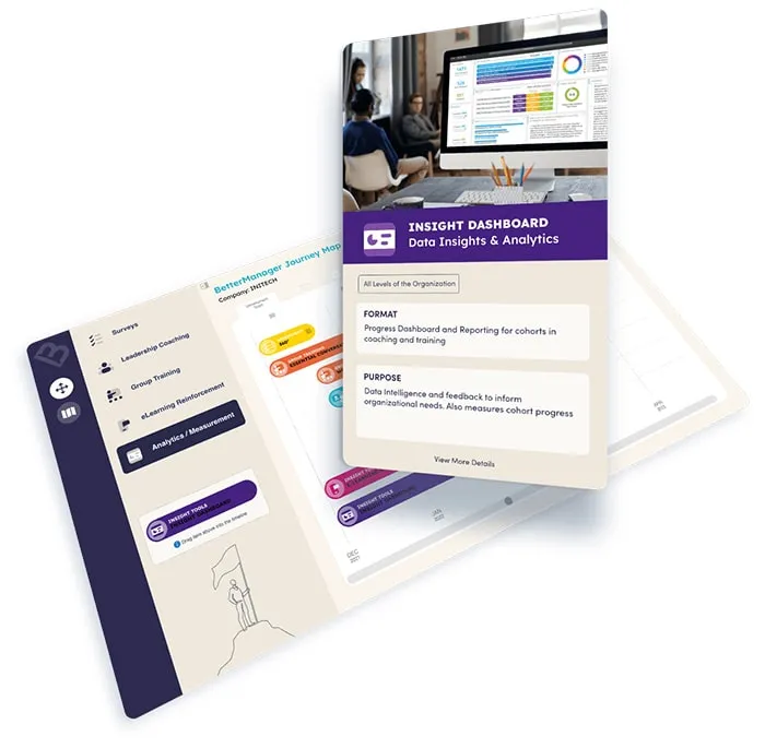 Insights Journey