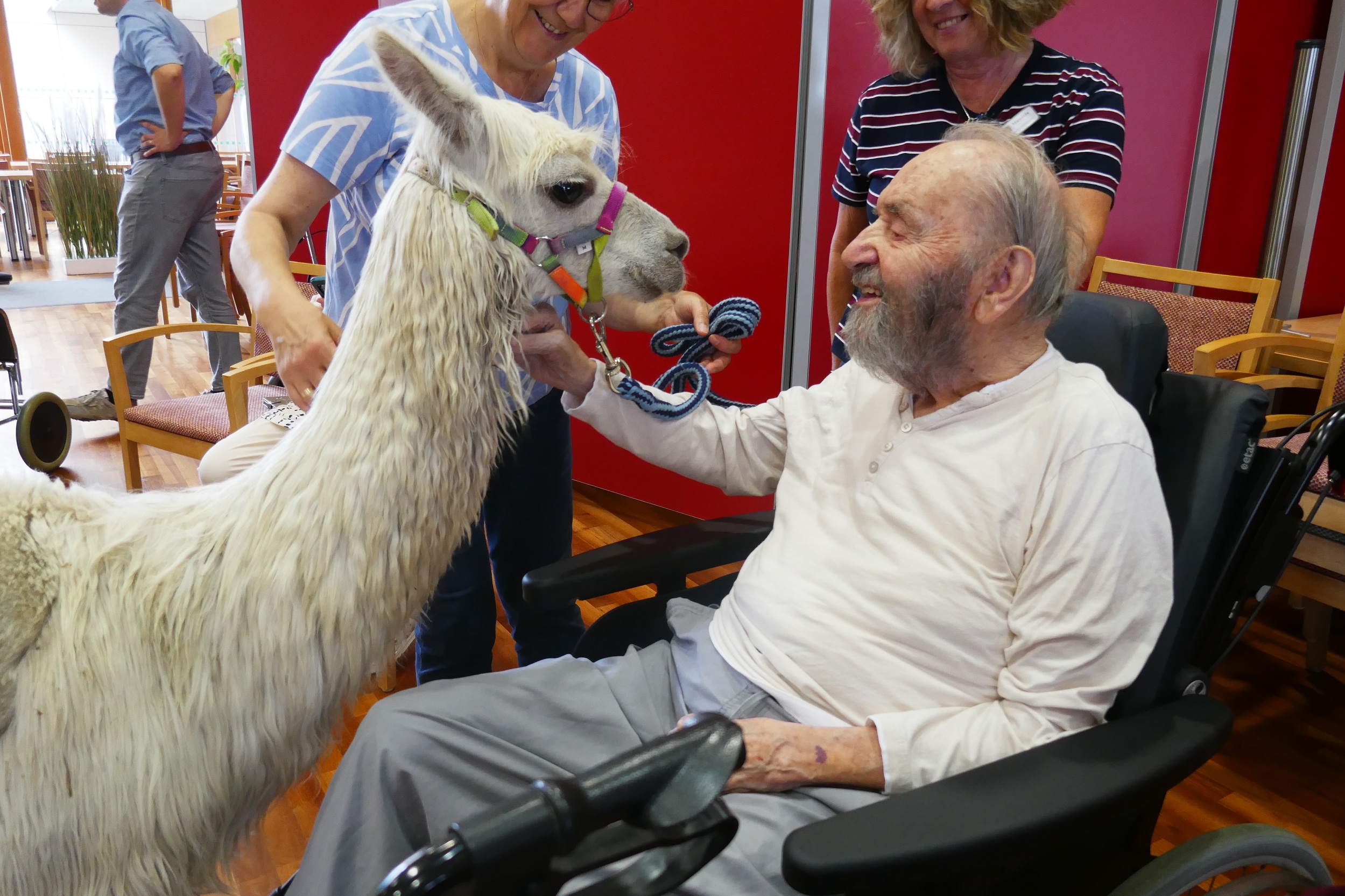 Besuch von Lama Joe