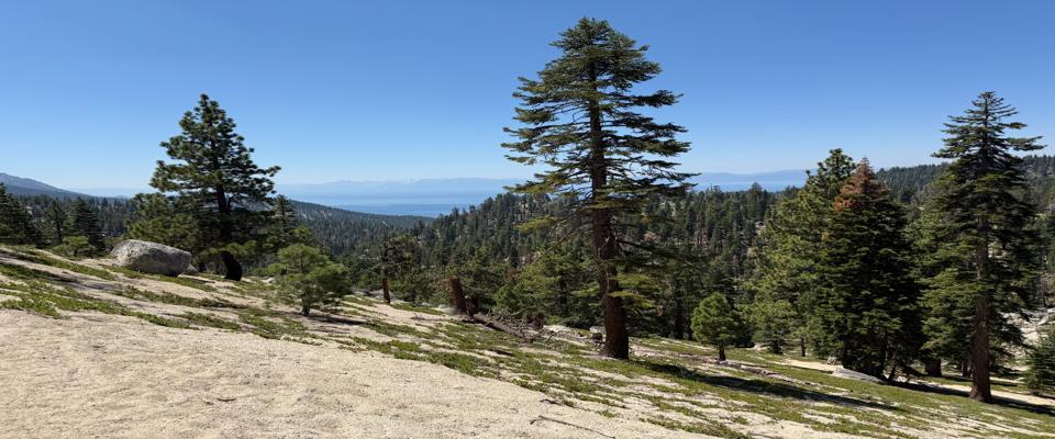 The Hidden Reason You’re in Too Many Meetings