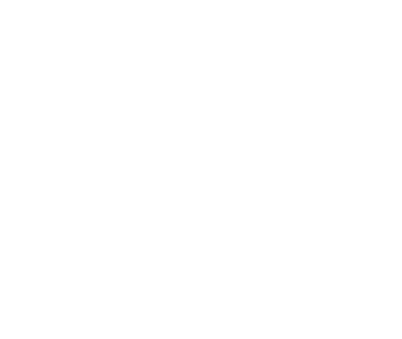 Linn Skin Logo