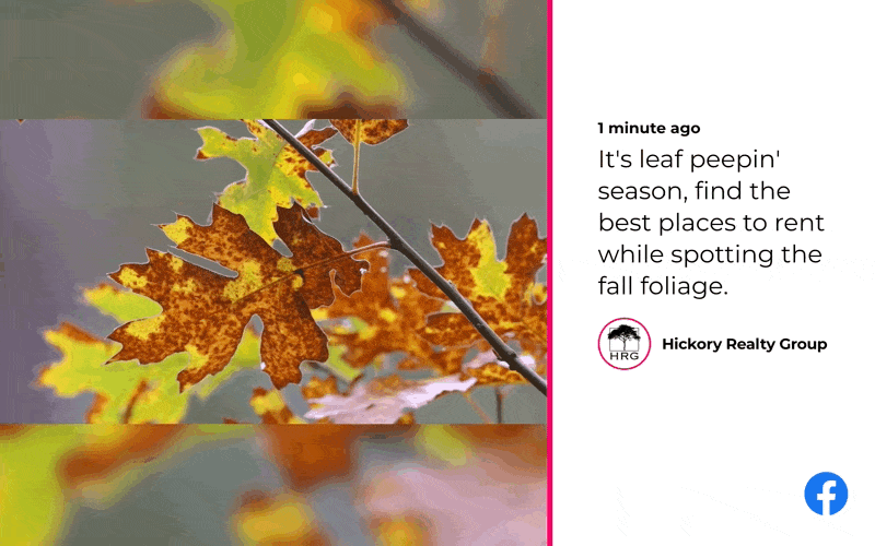 Screenfeed Interface