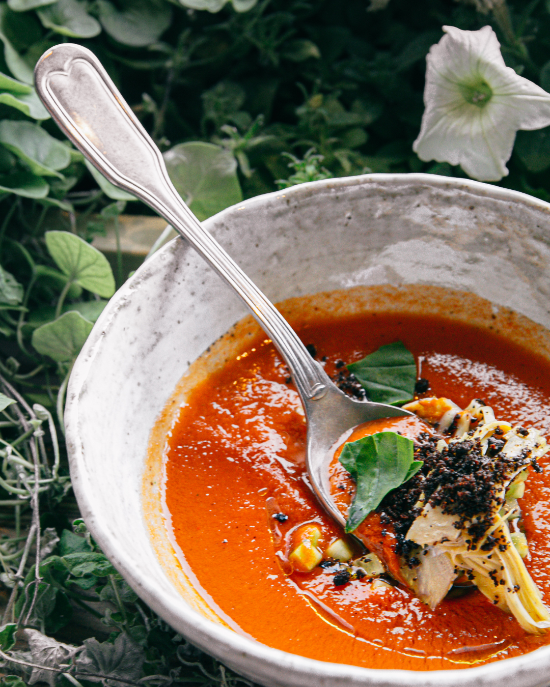 Takinoa-Sommertomaten-Gazpacho