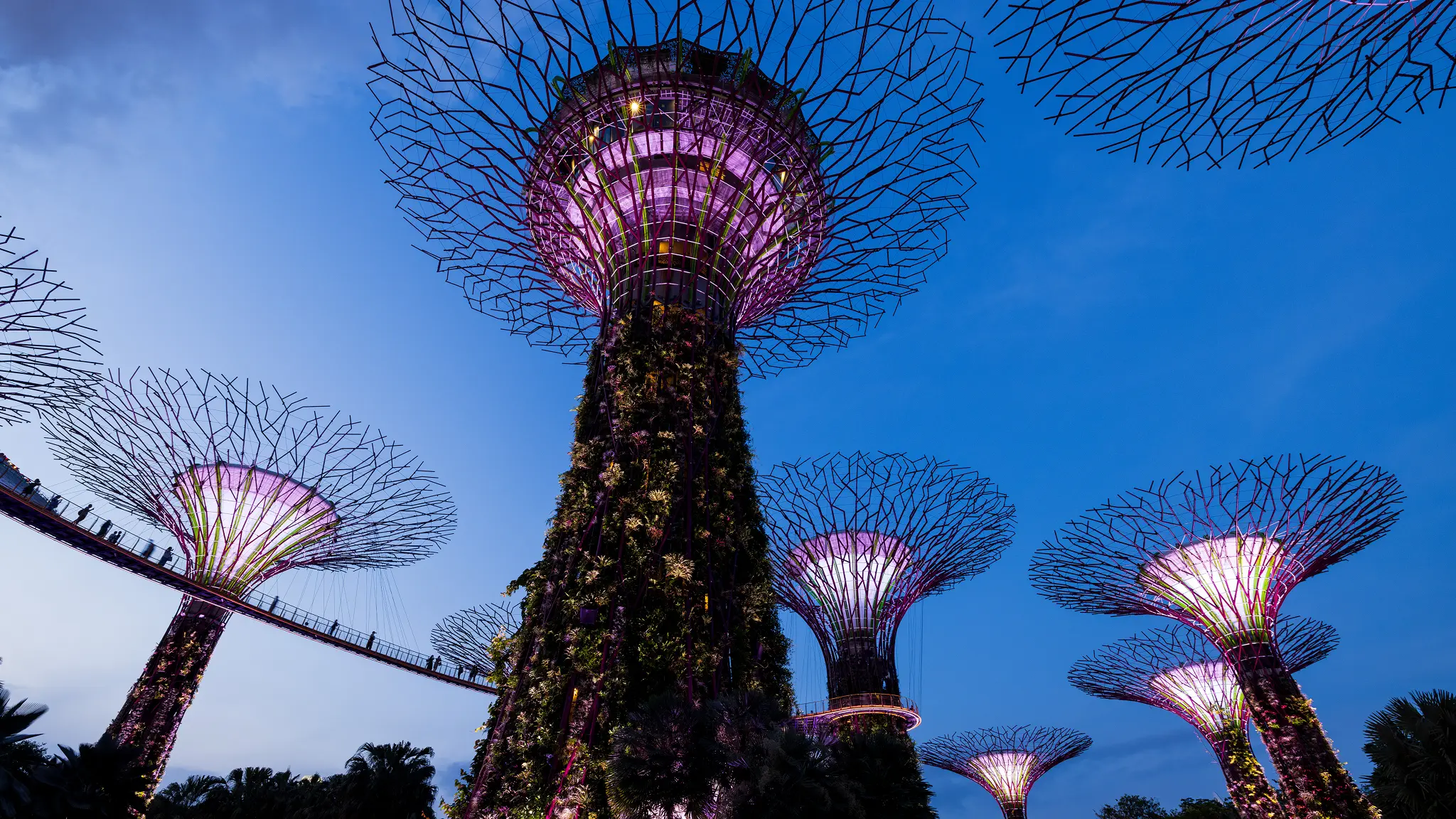 smartecarte-singapore