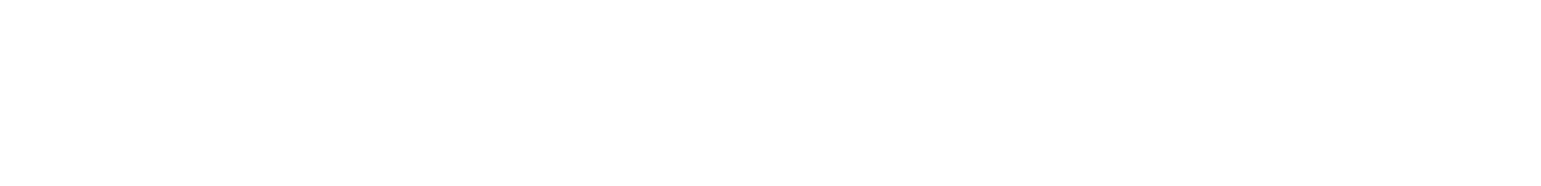 Streamtime logo
