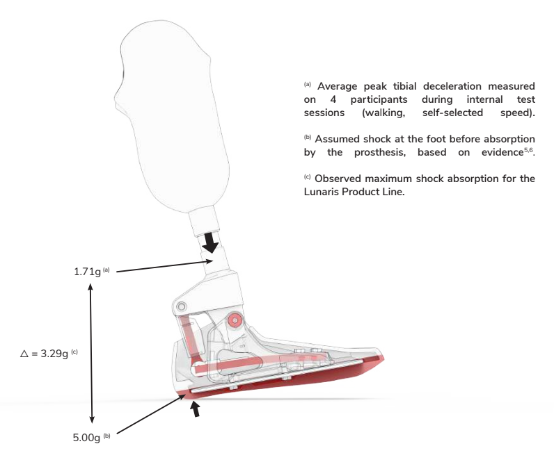 Technical illustration of Lunaris prosthetic foot demonstrating shock absorption, reducing peak tibial deceleration during walking
