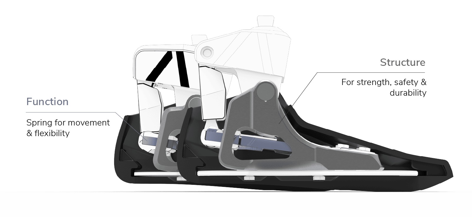 Cutaway view of the Lunaris prosthetic foot showing the spring responsible for movement and flexibility and the internal structure providing strength, safety and durability.