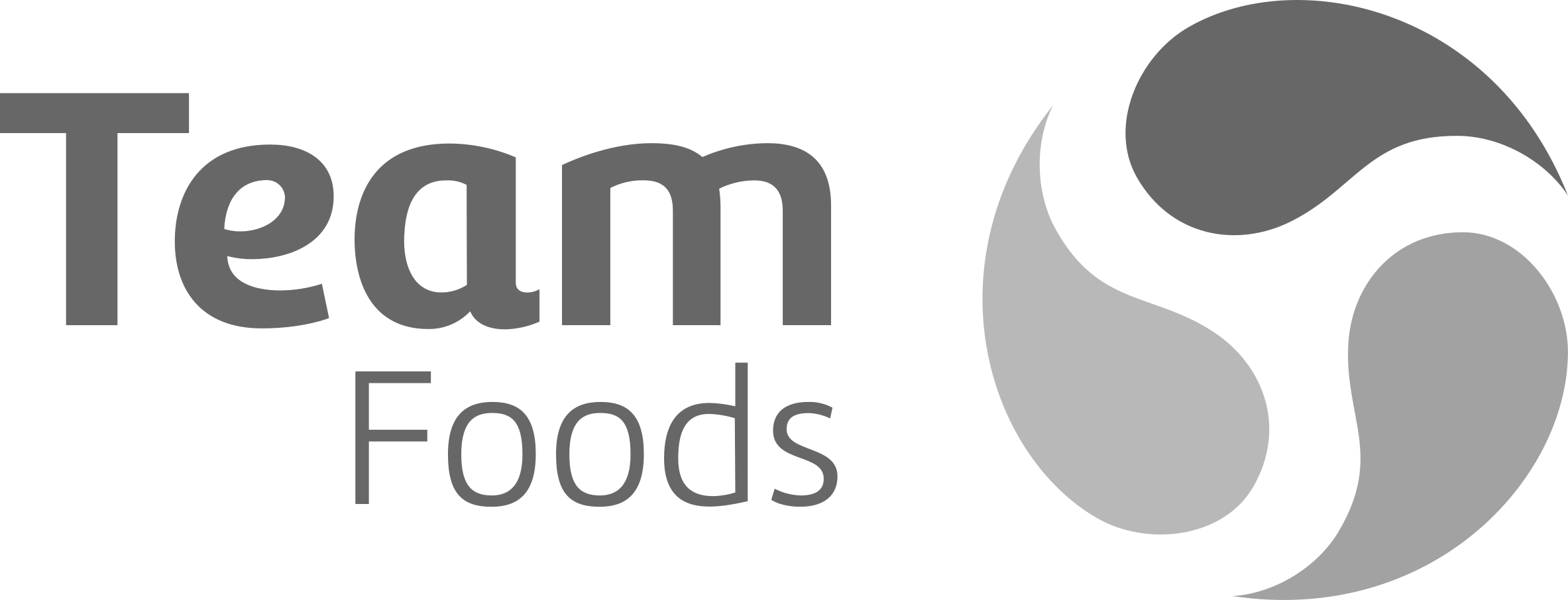 Team Foods