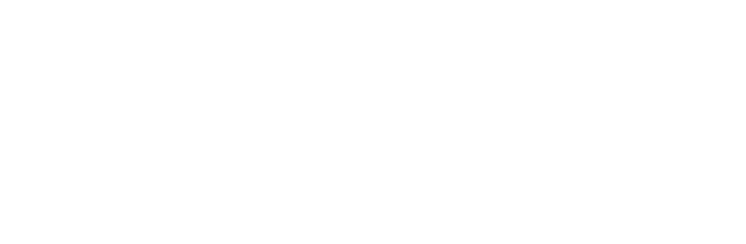didi logo