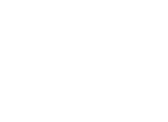 bi worldwide logo
