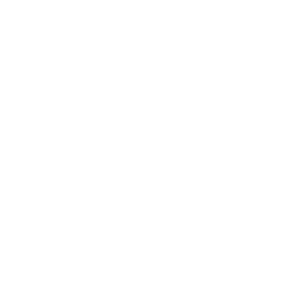 XAI logo
