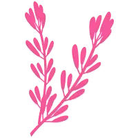 Linalool