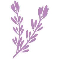 linalool