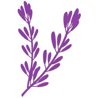 linalool