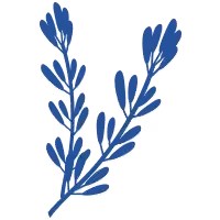 Linalool