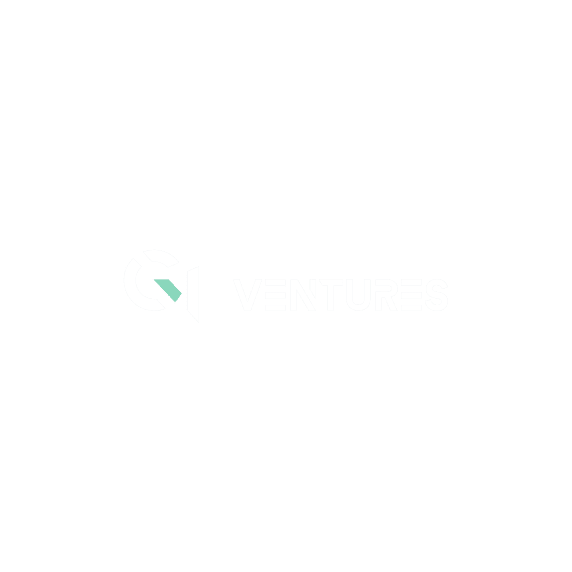 qi ventures