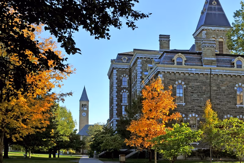 Cornell University